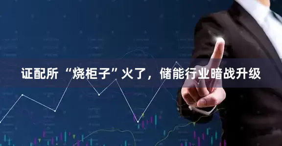 证配所 “烧柜子”火了，储能行业暗战升级