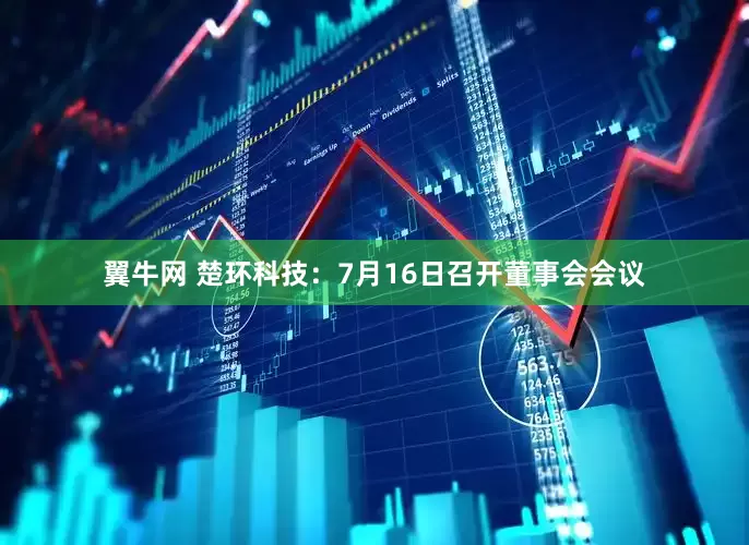 翼牛网 楚环科技：7月16日召开董事会会议
